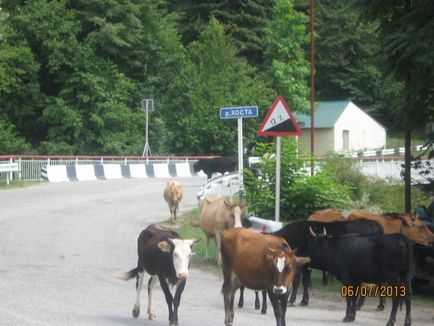 Canyon - porți dracului - în orașul gazdă din Sochi