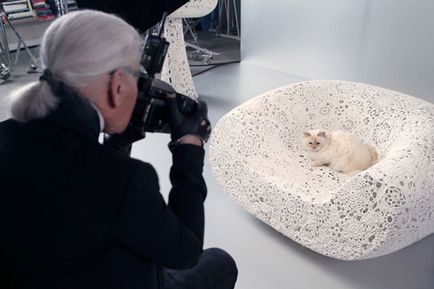 Karl campfeld și poveste de dragoste cu pisica syppet - despre moda - istoria modei pe site-ul il de boté