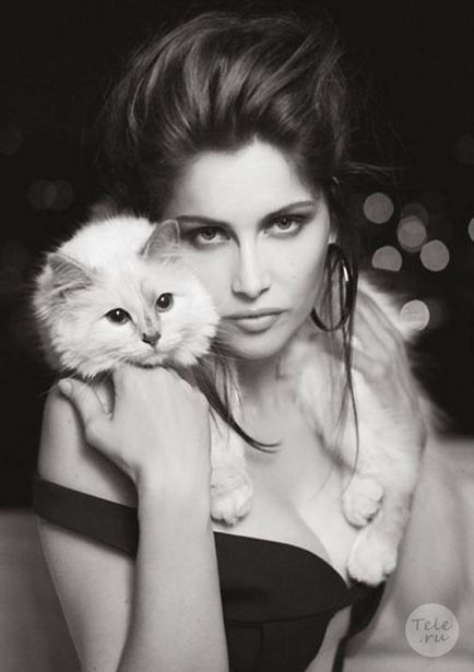 Karl Lagerfeld és a macska shupett szerelmi történet - divat - történetek a divat az online Ile de Beauté