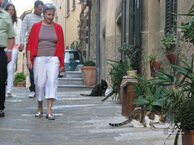 Castellón della pescaia, se aprobă 4