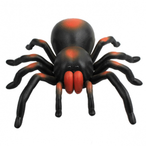 De ce să visezi un păianjen mare sau o tarantula să spună cărți de vis, vipezoterika