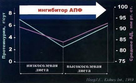 Клінічні особливості артеріальної гіпертензії при цукровому діабеті