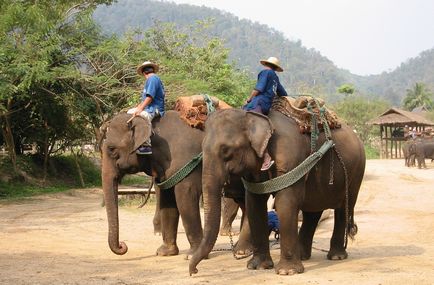 Când este mai bine să mergeți în Thailanda