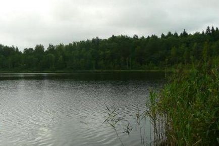 Round Lake (Bryansk), hogyan lehet a történet, leírások, fotók