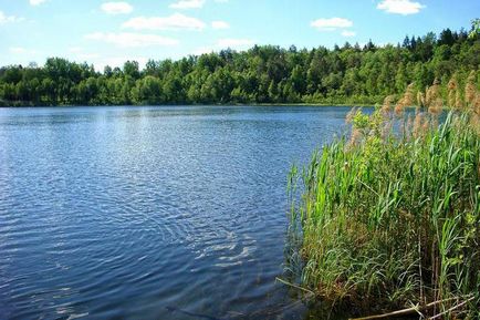 Round Lake (Bryansk), hogyan lehet a történet, leírások, fotók