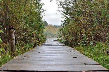 Lacul rotund (Bryansk) cum să ajungeți acolo istorie, descriere, fotografie