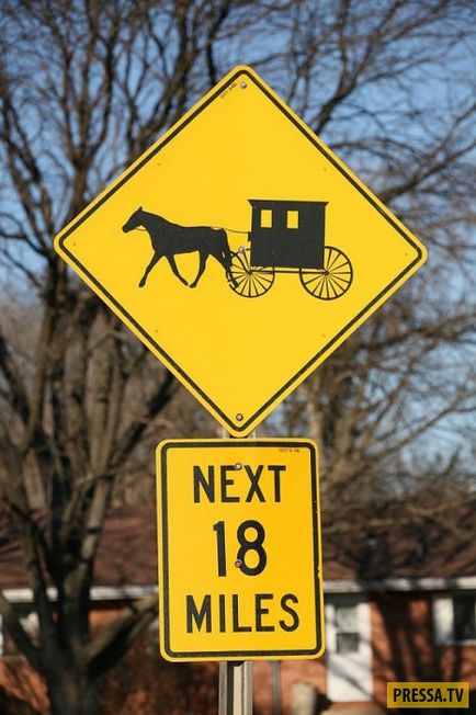 Kik az Amish (16 tények)