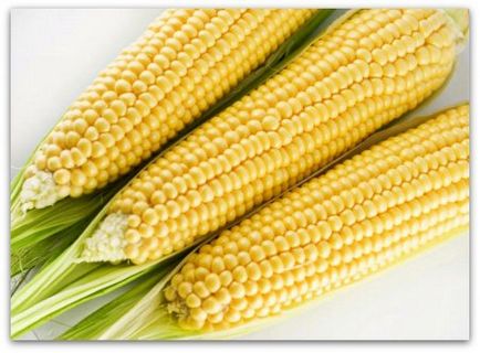 Corn-ültetési és növekvő