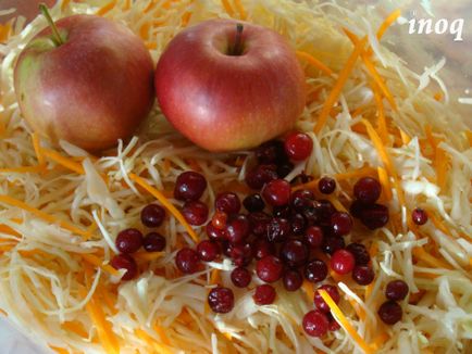 Sauerkraut de stocare de iarnă a vitaminelor - tehnopolis mâine (varză) Sauerkraut de stocare de iarnă de vitamine - tehnopolis mâine