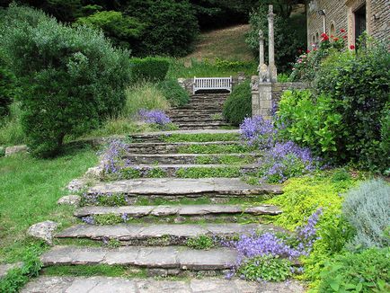 Amenajarea peisajului landscaping cu fotografia ta pe mâini