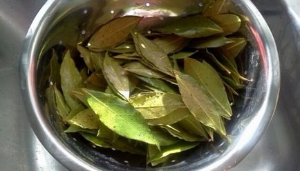 Bay leaf pentru exemple lunare de rețete