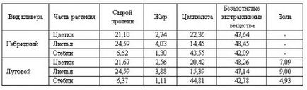 Лікування атеросклерозу луговим конюшиною