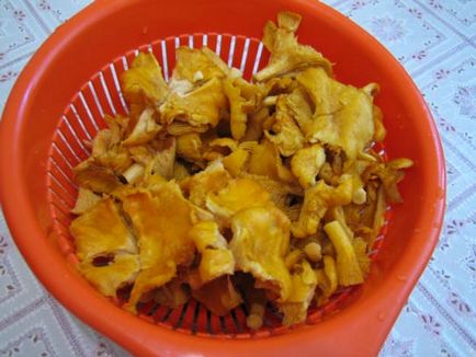 Chanterelles tocată în smântână - rețete culinare pas cu pas cu fotografii