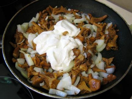 Chanterelles tocată în smântână - rețete culinare pas cu pas cu fotografii