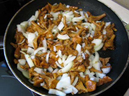 Chanterelles tocată în smântână - rețete culinare pas cu pas cu fotografii