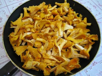 Chanterelles tocată în smântână - rețete culinare pas cu pas cu fotografii