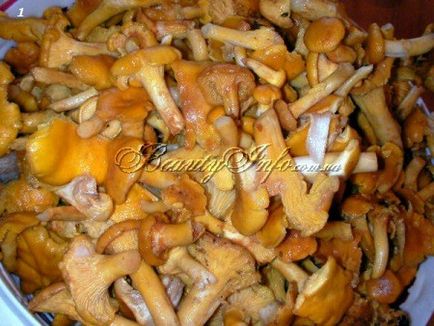 Chanterelles, fiert în smântână, beautyinfo