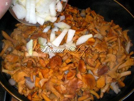 Chanterelles, tocată în smântână, beautyinfo (beautyinfo) Chanterelles, fiert în smântână, beautyinfo