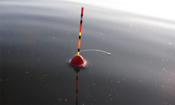 Prindeți o etichetă pe o tijă de pescuit plutitoare - totul despre prinderea peștilor