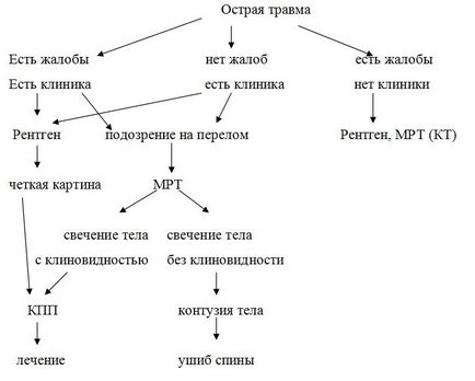 Променева діагностика - стабільні і нестабільні ушкодження грудного і поперекового відділів