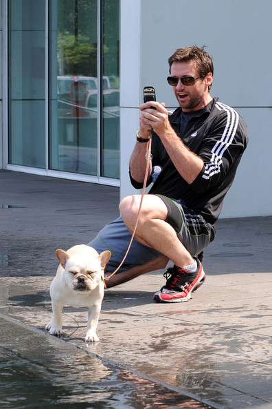 Câine preferat de Hugh Jackman (18 fotografii) - știri despre animale