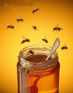 Amatőr méhészeti mint szakma - kedvenc nyári rezidenciája