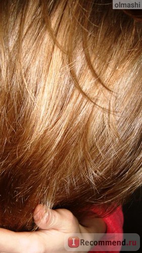 Масло для волосся ayur brahmi amla hair oil - «докладний покроковий огляд масла індійського агрусу