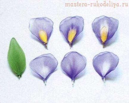 Maestru de clasă pe crearea de flori din buchet de nylon de iris