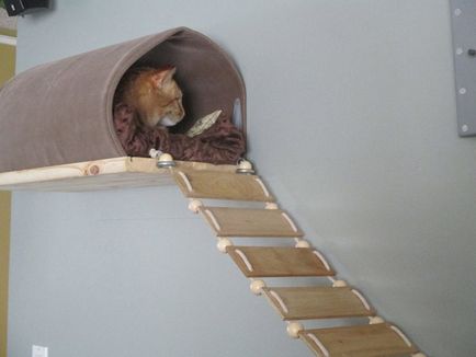 Mobilier de perete (raft) pentru pisici cu mâinile lor