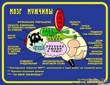 Чи не забагато про чоловіків щоденник користувача Дульсе щоденники - жіноча соціальна мережа