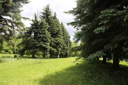 Нижегородський ботанічний сад