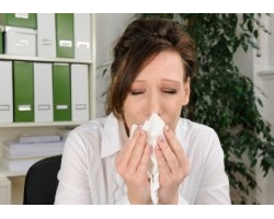 Офісна алергія причини, наслідки, способи боротьби