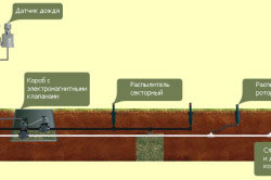 Оформлення газону своїми руками