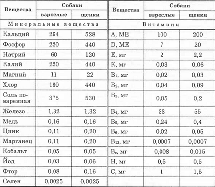 Noțiuni de bază privind hrănirea deplină a câinilor de serviciu