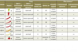 Гострий перець вирощування і агротехніка