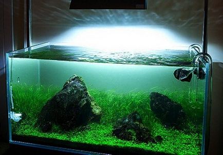világítás akvárium