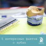 Recenzii despre stomatologie matiss dent in St. Petersburg, telefon si adresa