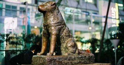 Monumentul hachiko, statuia hachiko