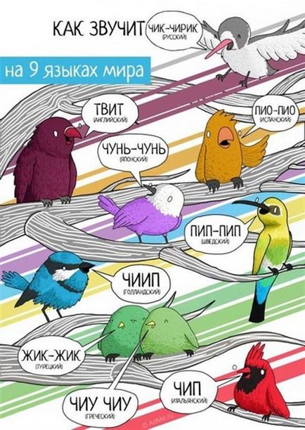 Перукарня для тварин, як кажуть тварини на різних мовах