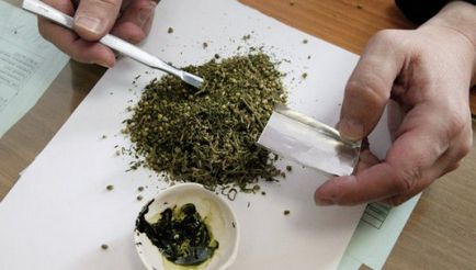 Supradozaj de simptome de marijuana, consecințe ale utilizării