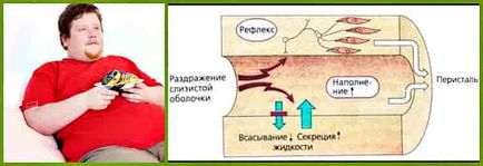 Peristalitatea intestinelor, care este modul de îmbunătățire a produselor și preparatelor