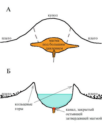 Плазмоідная життя