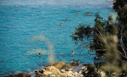A strand közelében, a fürdők Aphrodité a Akamas félsziget (Akamas természetvédelmi terület) A strand közelében, a fürdők Aphrodité a Akamas félszigeten
