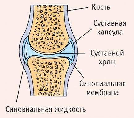 De ce abdomene comune sunt posibile priichiny, metode de tratament, sfaturi