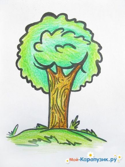 A szakaszos rajz fa színes ceruzák