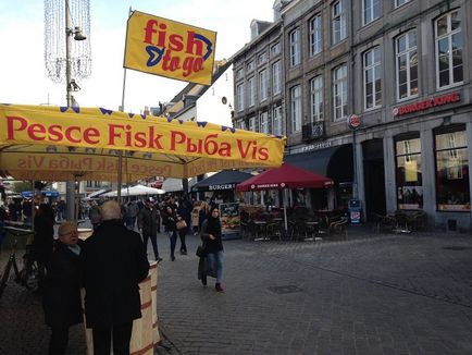 Excursie la raportul de fotografie de la Maastricht, Amsterdam în aer