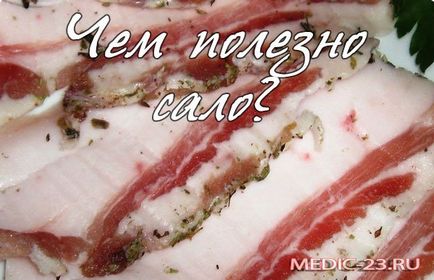 Користь сала для організму калорійність продукту, вплив на фігуру, протипоказання до вживання