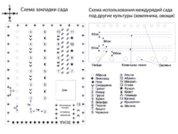 Посадка молодого саду, розплідник Волкових