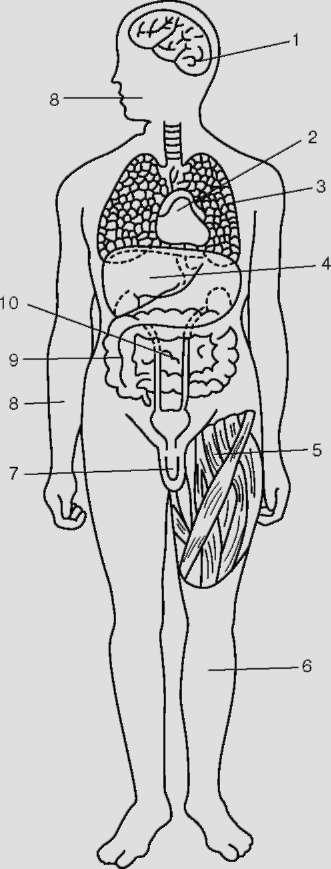 Subiectul și sarcinile parazitologiei medicale