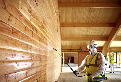 Переваги проектів двоповерхового дерев'яного будинку